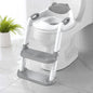 Grey Potty Training Seat Double Pedal Ladder