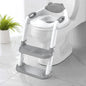 Grey 8839 Potty Training Seat Double Pedal Ladder